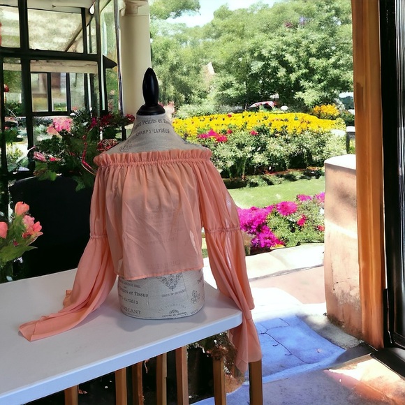 Feel beautiful in this romantic ruffled semi-sheer and feminine peach blouse - Picture 12 of 16